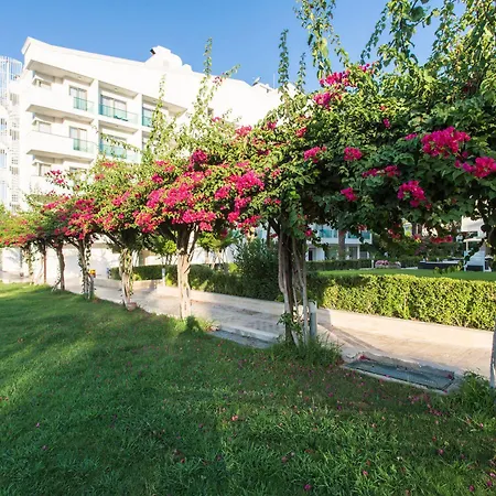 Falcon Otel